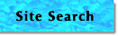 Site Search